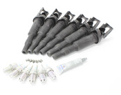 BMW Ignition Service Kit (E39 E46 E53) - 12138647689KT3